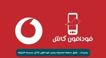 رصيدك.. طرق سهلة لمعرفة رصيد فودافون كاش بسرعة فائقة